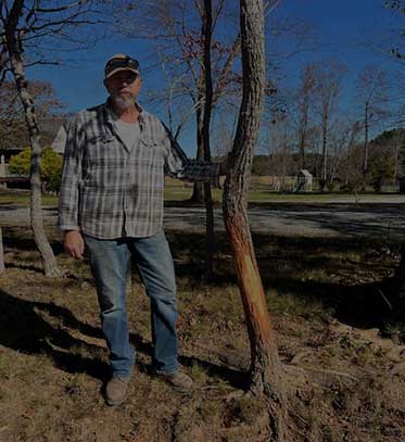 Timber Stand Improvement